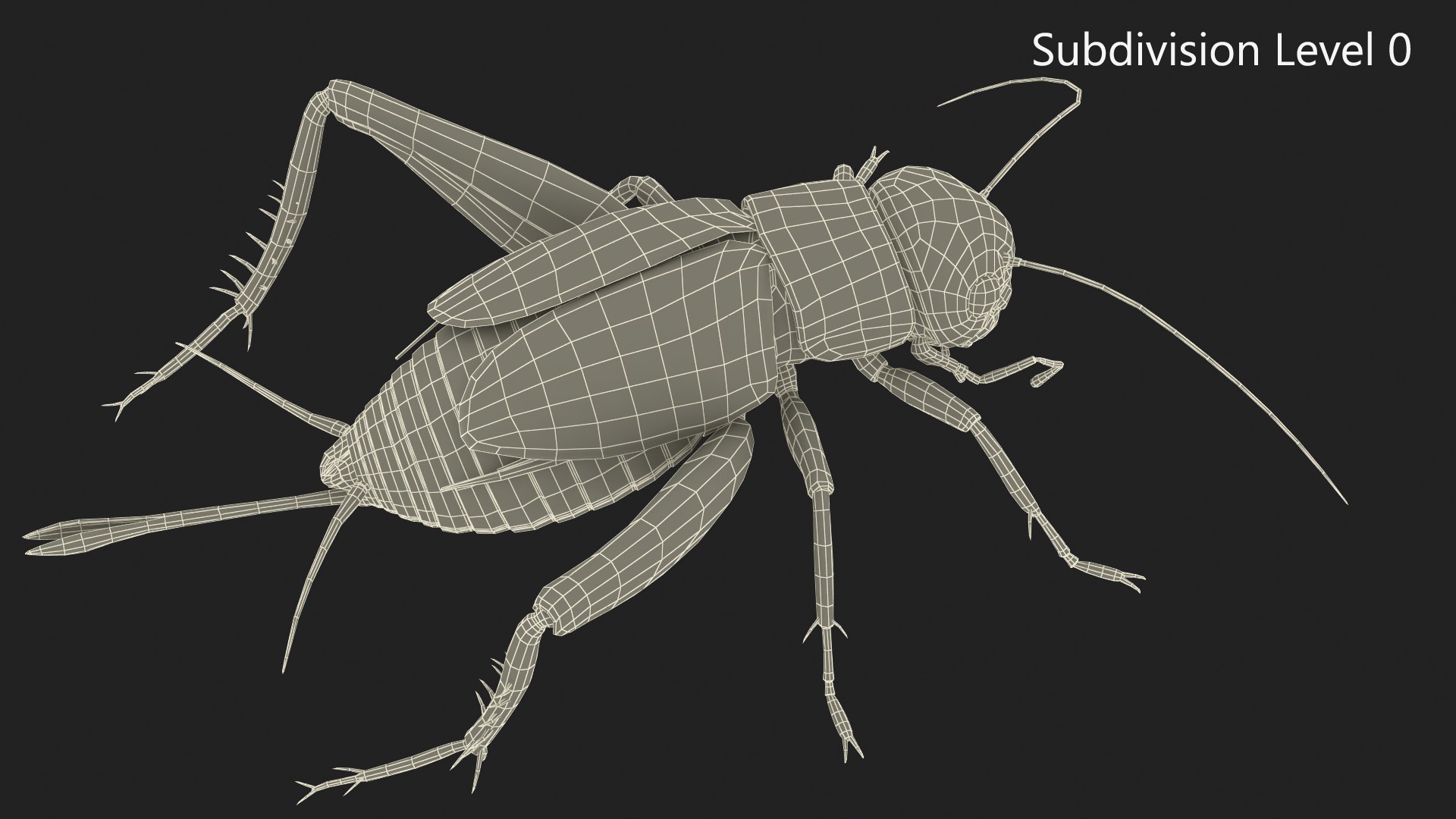 3D Field Cricket Standart Pose https://p.turbosquid.com/ts-thumb/Yo/187TIU/gb/fieldcricketstandartposevray3dmodel011/jpg/1719646048/1920x1080/fit_q87/6ceb3e90f42fcf8e1a029dfb5ac5a6270a7d5dc1/fieldcricketstandartposevray3dmodel011.jpg