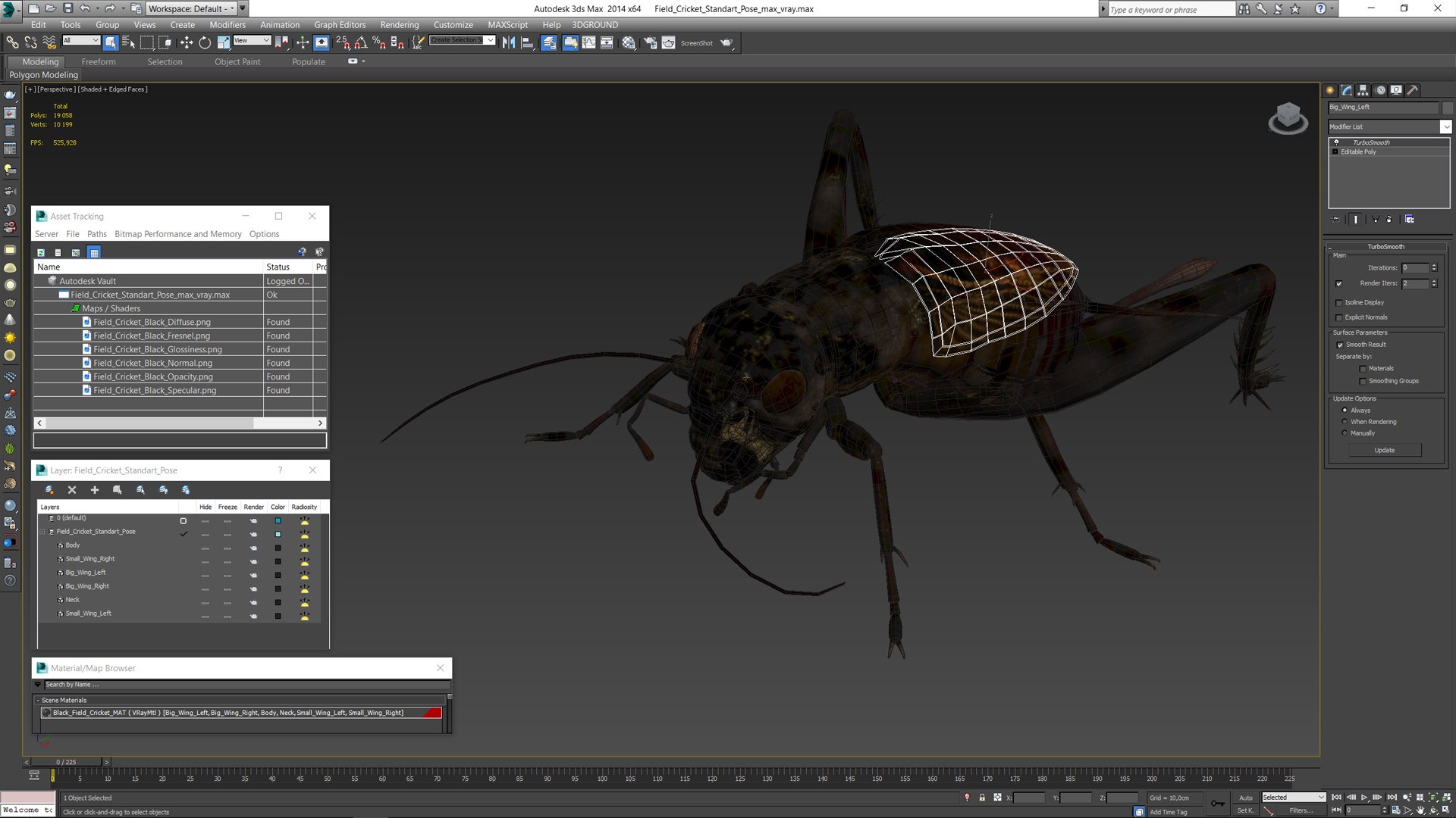 3D Field Cricket Standart Pose https://p.turbosquid.com/ts-thumb/Yo/187TIU/jW/fieldcricketstandartposevray3dmodel015/jpg/1719646067/1920x1080/fit_q87/354a438950ff251696add337e1bbbd2c8e33db06/fieldcricketstandartposevray3dmodel015.jpg