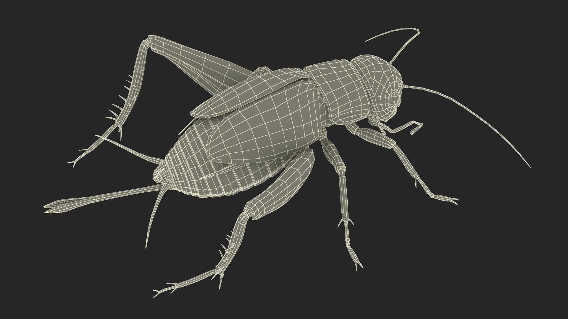 3D Field Cricket Standart Pose https://p.turbosquid.com/ts-thumb/Yo/187TIU/n1/fieldcricketstandartposevray3dmodel021/jpg/1719646091/1920x1080/fit_q87/00138c601ce0a075fc9d2c371f734515a6fae538/fieldcricketstandartposevray3dmodel021.jpg