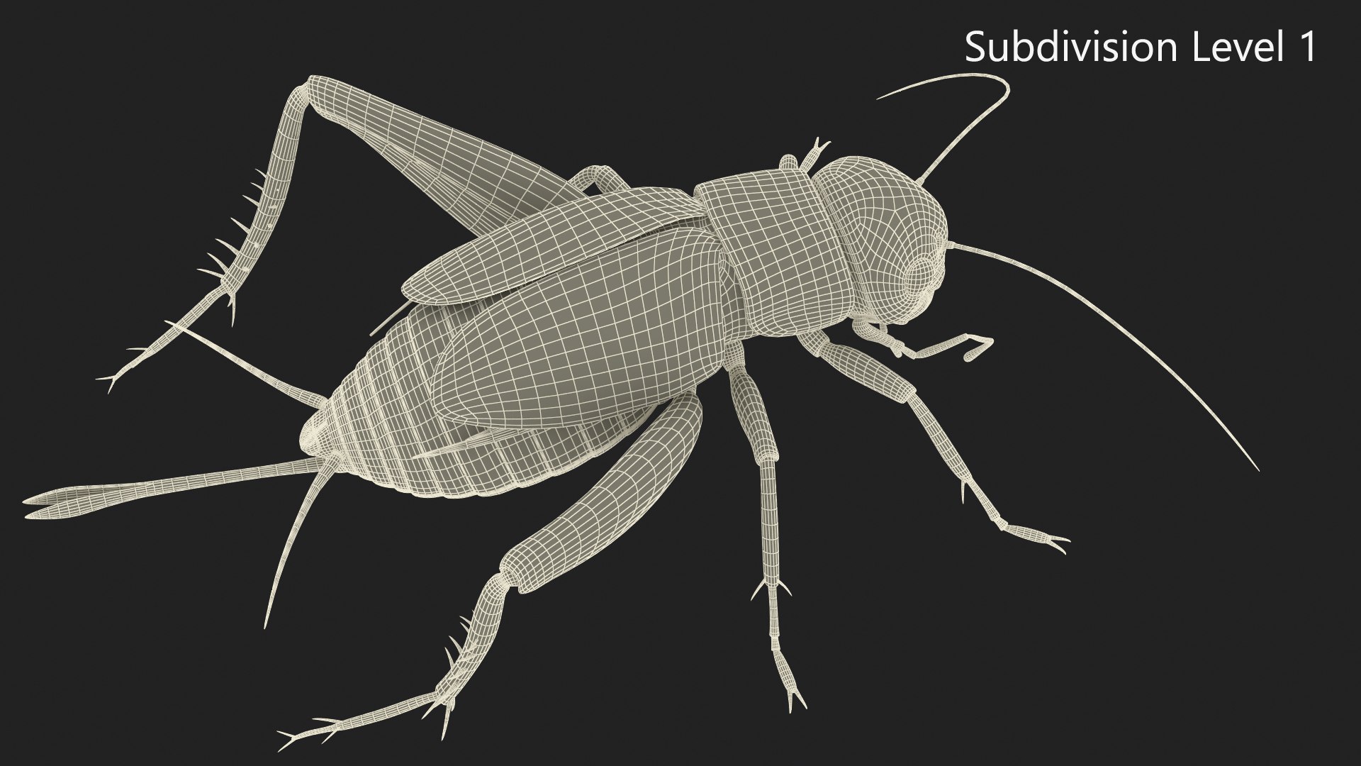 3D Field Cricket Standart Pose https://p.turbosquid.com/ts-thumb/Yo/187TIU/zI/fieldcricketstandartposevray3dmodel012/jpg/1719646053/1920x1080/fit_q87/9ecd7e44d0a525e45ee8ecb200f9125a49eea7ad/fieldcricketstandartposevray3dmodel012.jpg