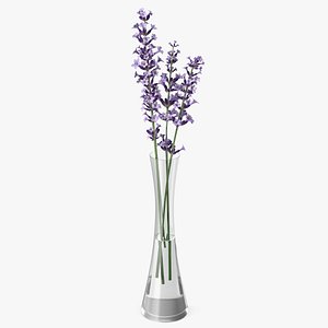 Vase with Lavender Flowers 3D model