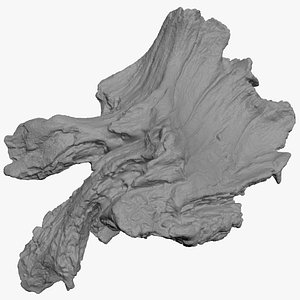 Broken Tree Trunk 03 for 3D Print