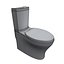 Toilet-001