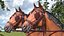 Pair of Harness
