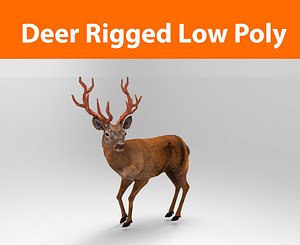 3d model deer rigged