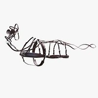 Harness