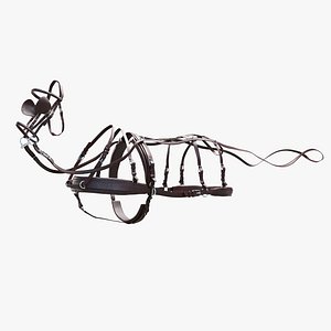 Harness