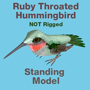 3d model ruby throated hummingbird standing