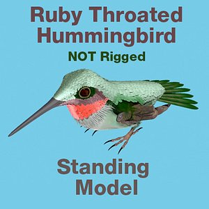 Ruby Throated HummingBird Standing Wings Folded