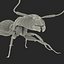 Black Ant Rigged for Maya