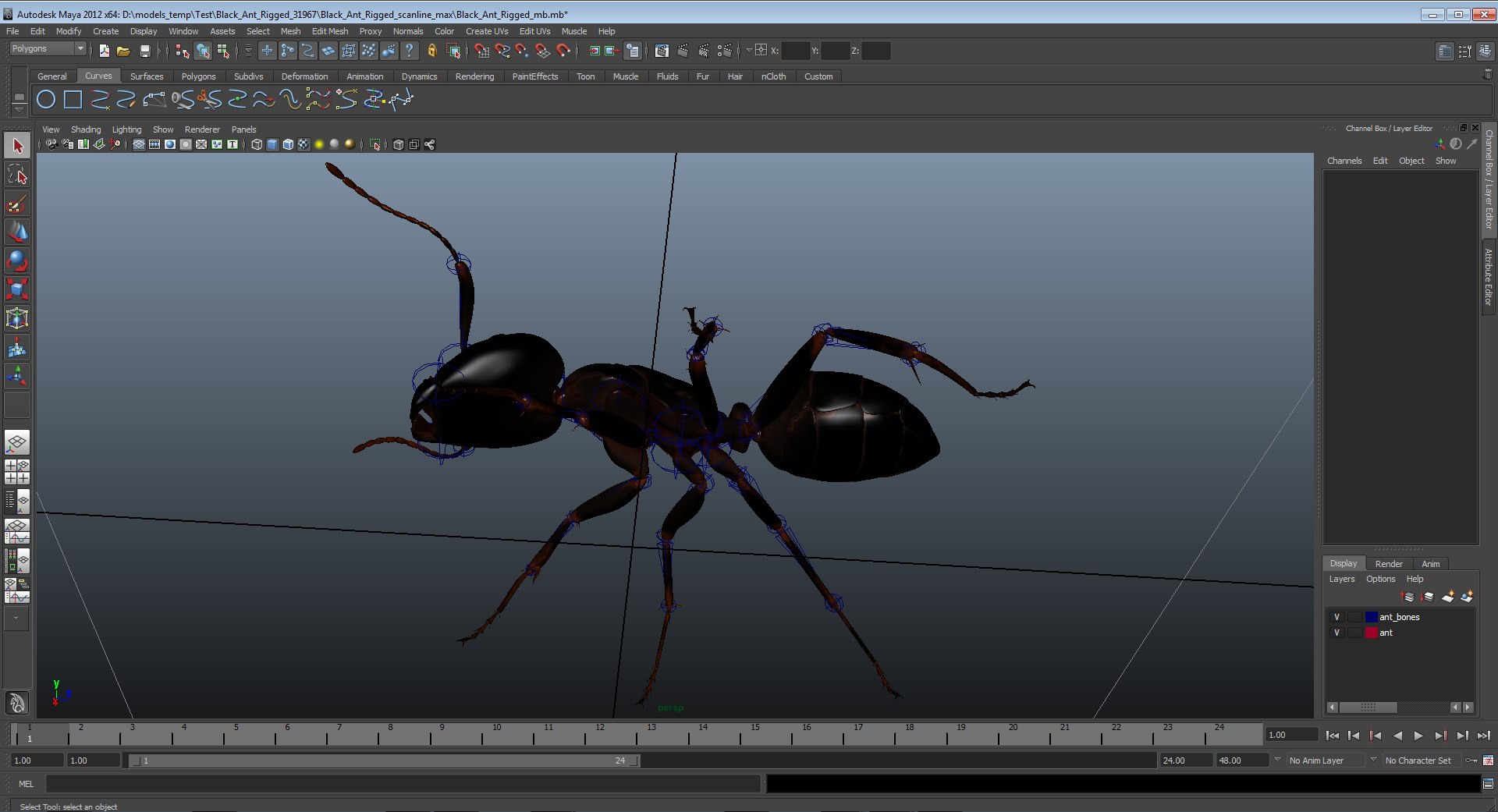 3d model black ant rigged https://p.turbosquid.com/ts-thumb/Yo/oLoyxW/2DyTbxZ7/blackantriggedmaya3dmodel36/jpg/1478360710/1920x1080/fit_q87/77f961e85a137cb3aa847046f5b5e200fc60d2ea/blackantriggedmaya3dmodel36.jpg