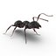 Black Ant Rigged for Maya