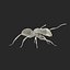 Black Ant Rigged for Maya