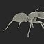 Black Ant Rigged for Maya