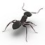 Black Ant Rigged for Maya