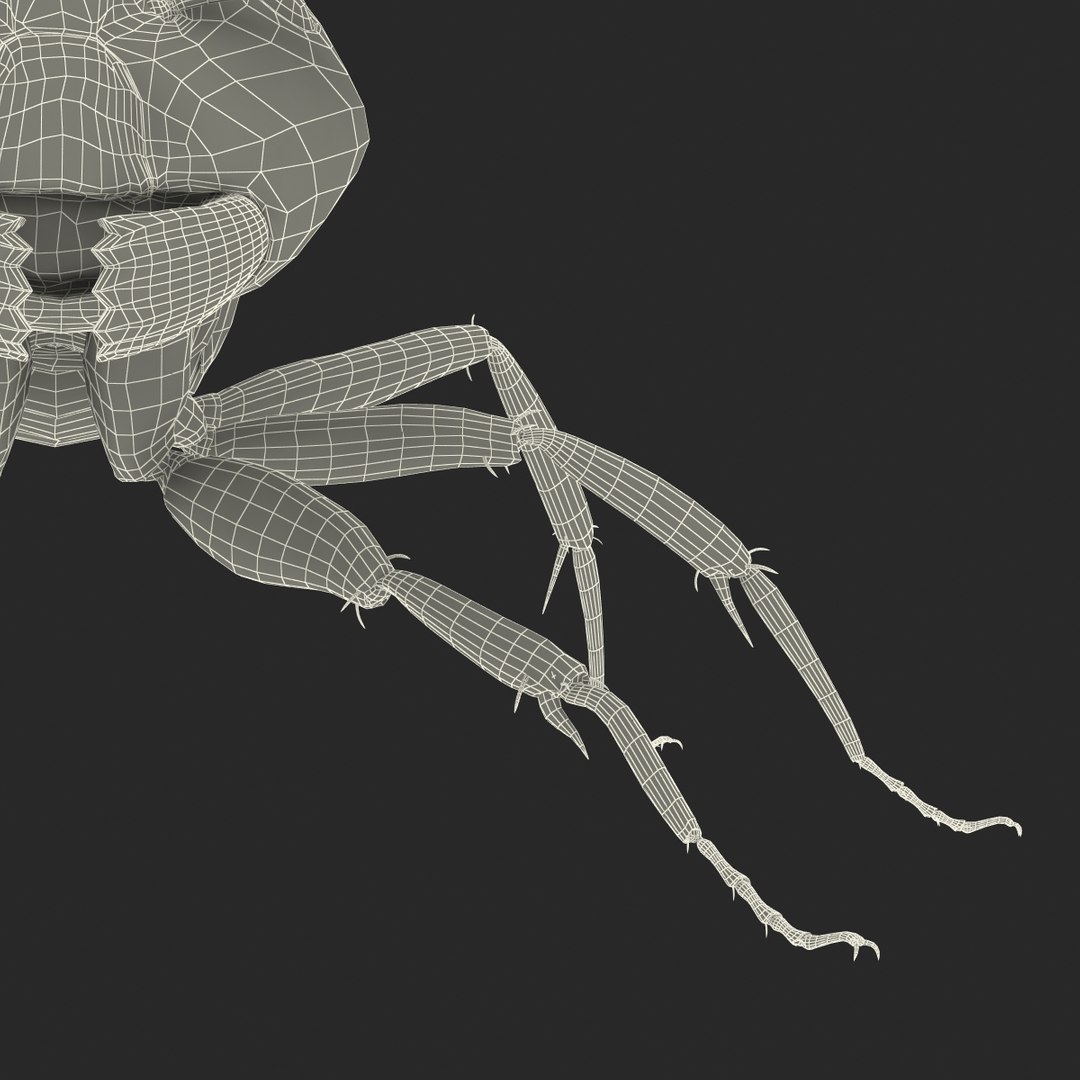3d model black ant rigged https://p.turbosquid.com/ts-thumb/Yo/oLoyxW/z4irvhQa/blackantriggedmaya3dmodel53/jpg/1478360710/1920x1080/fit_q87/6ec04830256a871b0cd17ac02e8c1f22ad003e30/blackantriggedmaya3dmodel53.jpg