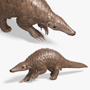 Pangolin Walking Animated Rigged For Blender