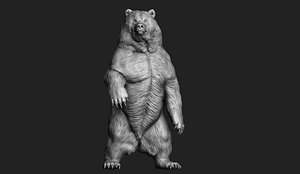 Kodiak Brown Bear 3D Print Model 3D model