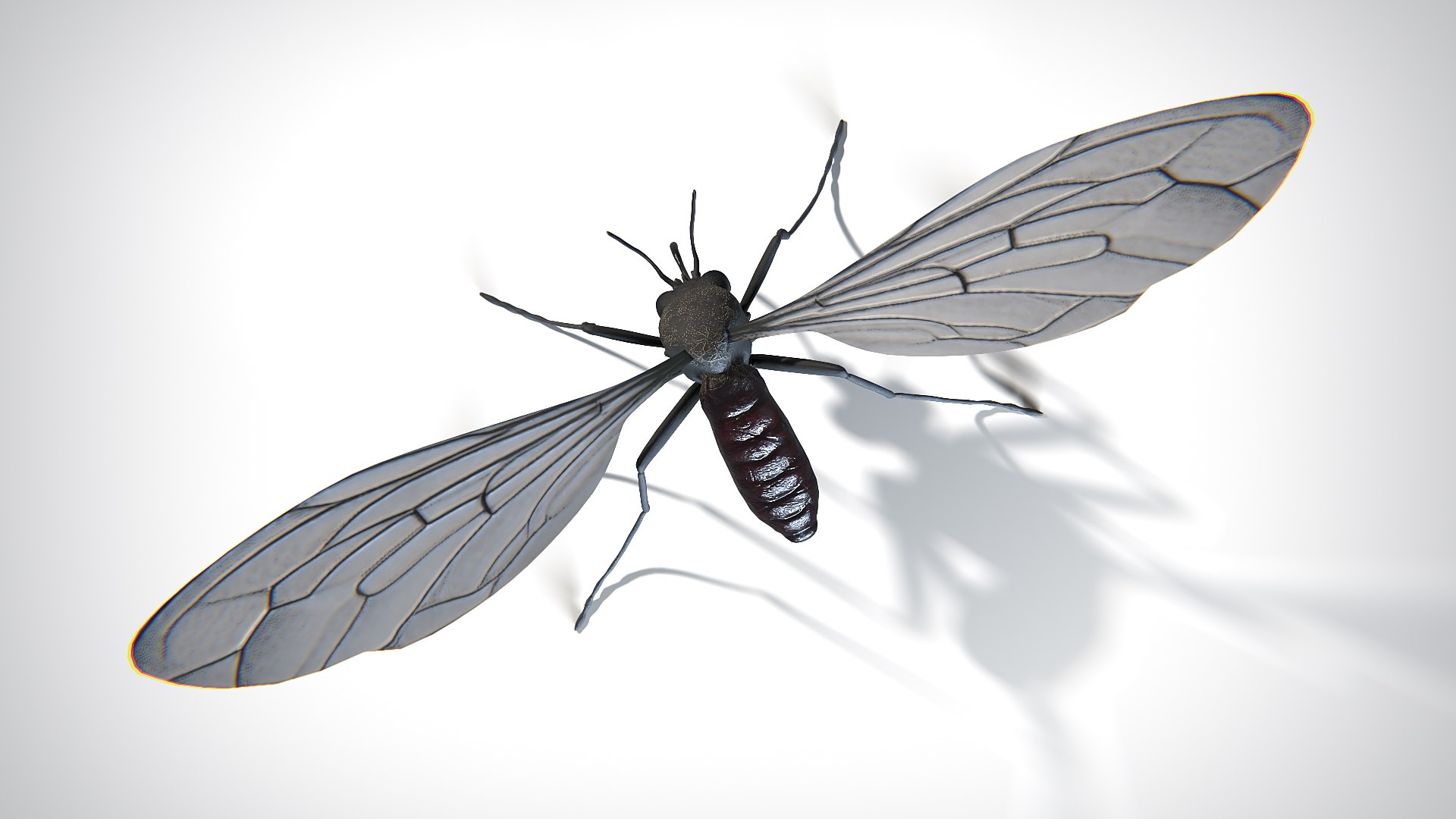 3D Mosquito PBR https://p.turbosquid.com/ts-thumb/Yp/Ey49Qx/YR/mosquito_preview_0009/jpg/1739459240/1920x1080/fit_q87/97c30b92b92778a7b313ee3e527efbf02122cddd/mosquito_preview_0009.jpg