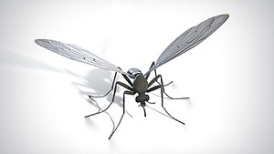 3D Mosquito PBR