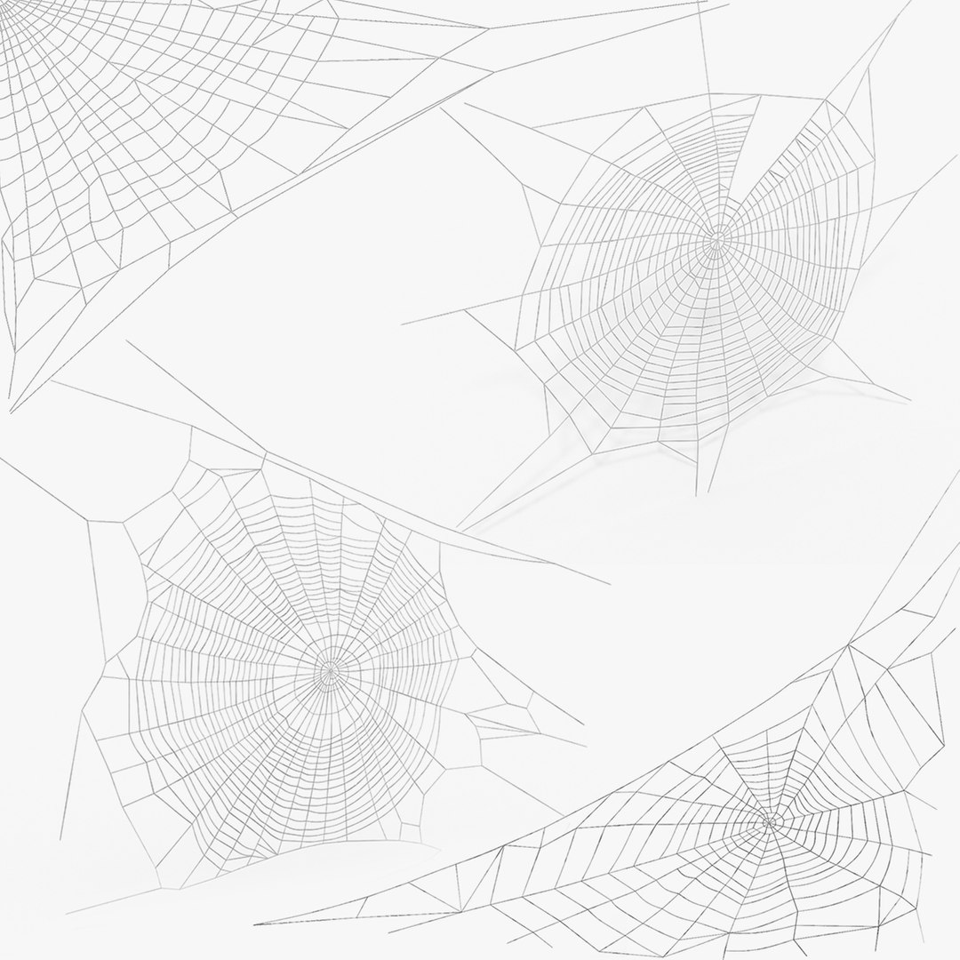 Spider Webs Collection 2 3D model preview
