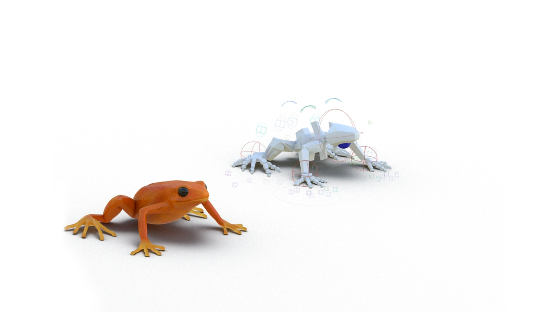 Realistic Tropical Mantella Frog Rigged 3D Model - TurboSquid 2315193