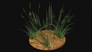 3D Weed grass Low-poly model
