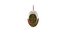 Soft plastic fishing lure