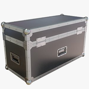 lighting case 2 3D model