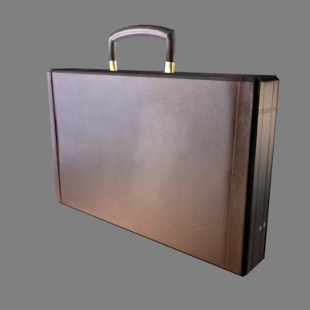 3d Max Briefcase Case