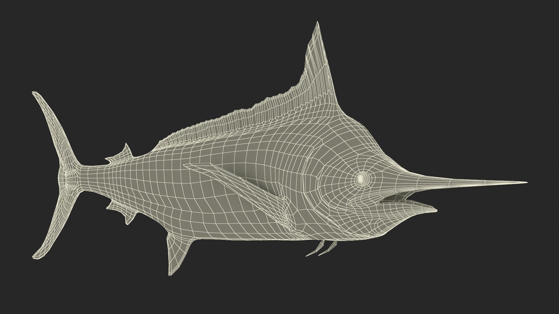 blue marlin rigged 3d max