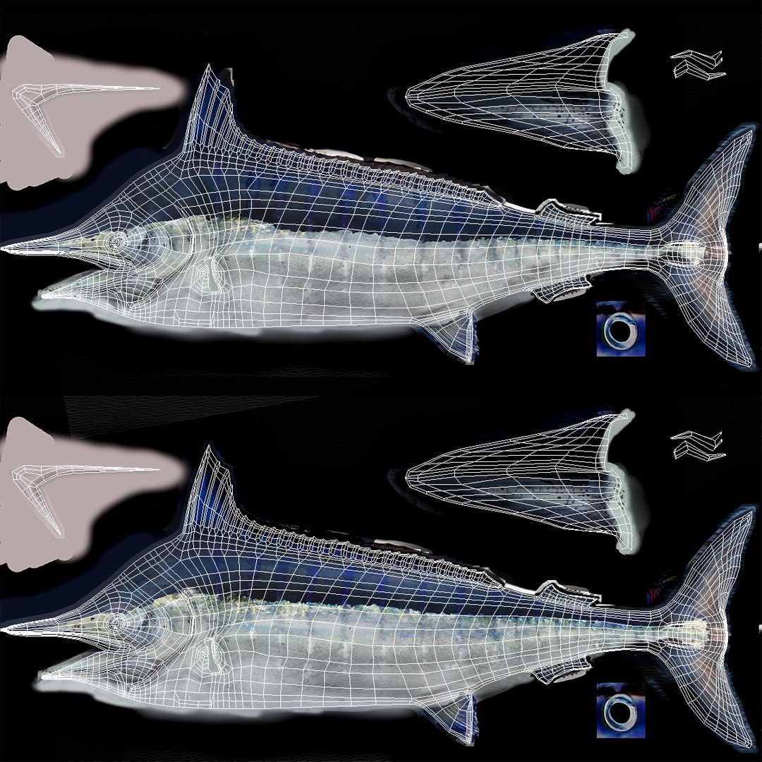 blue marlin rigged 3d max