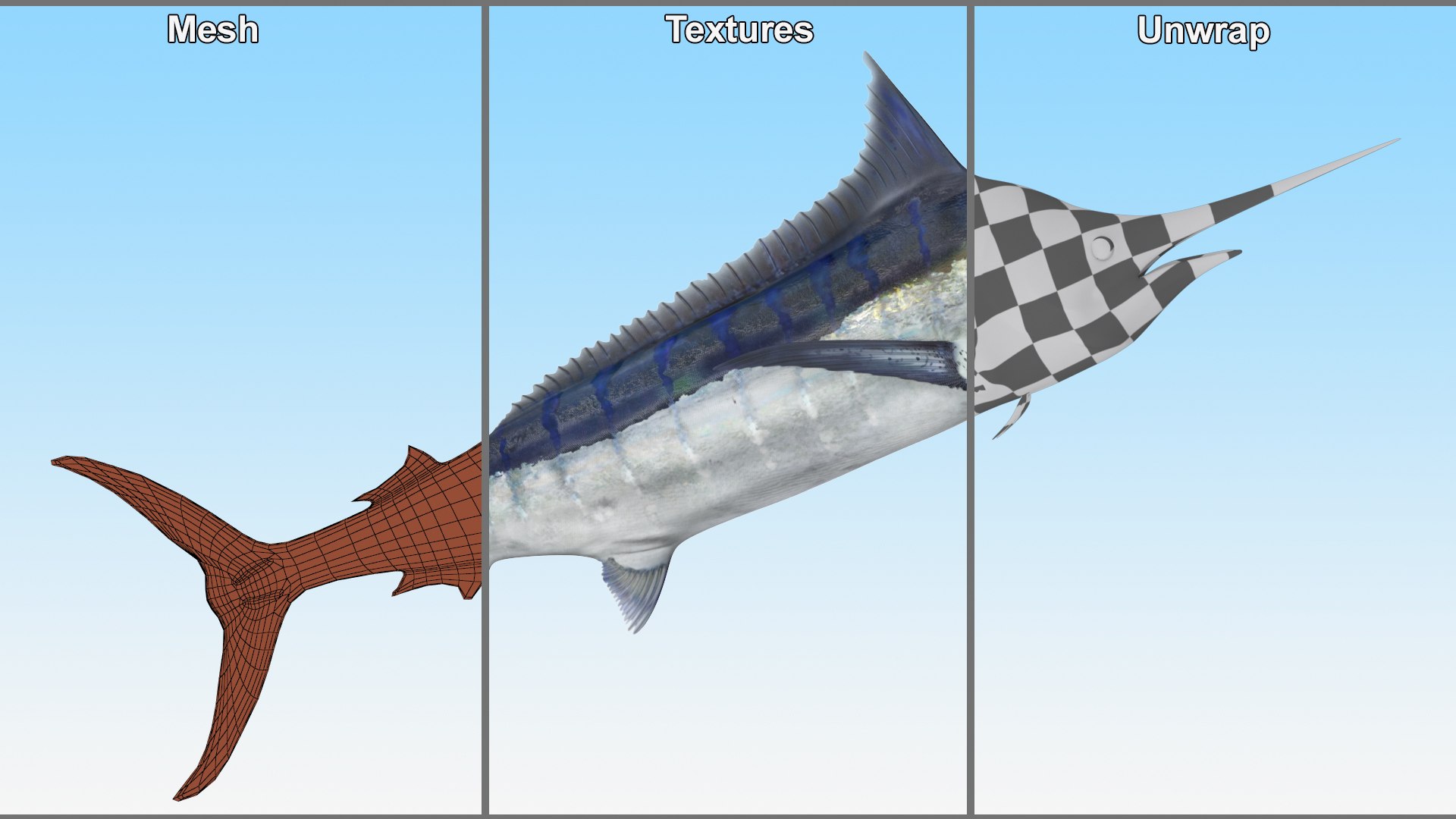 blue marlin rigged 3d max