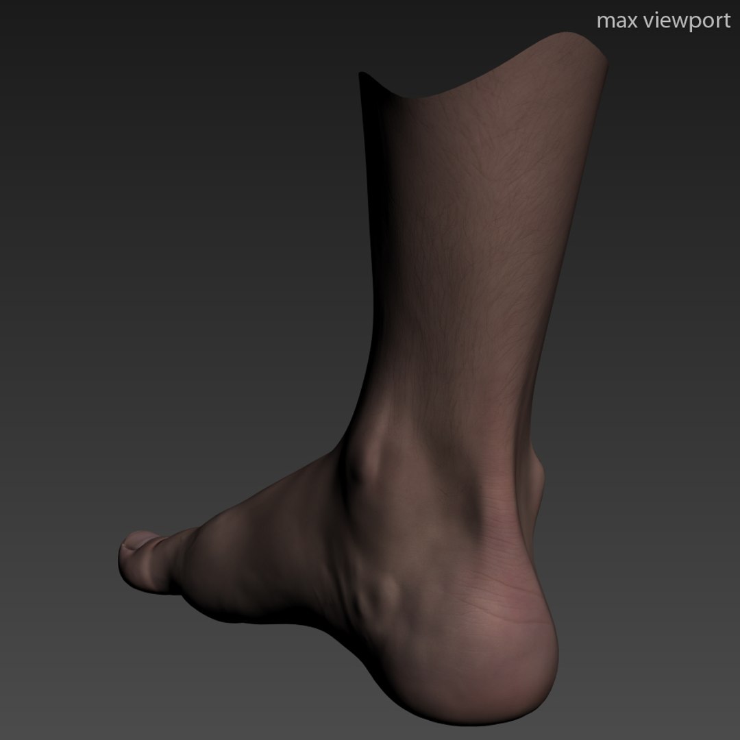 3d model realistic male foot https://p.turbosquid.com/ts-thumb/Yp/pPieF2/SqfSWYj5/foot_viewport_03/jpg/1364144115/1920x1080/fit_q87/157e3649a742f7209c208d26ee8b4a43aa0aca70/foot_viewport_03.jpg