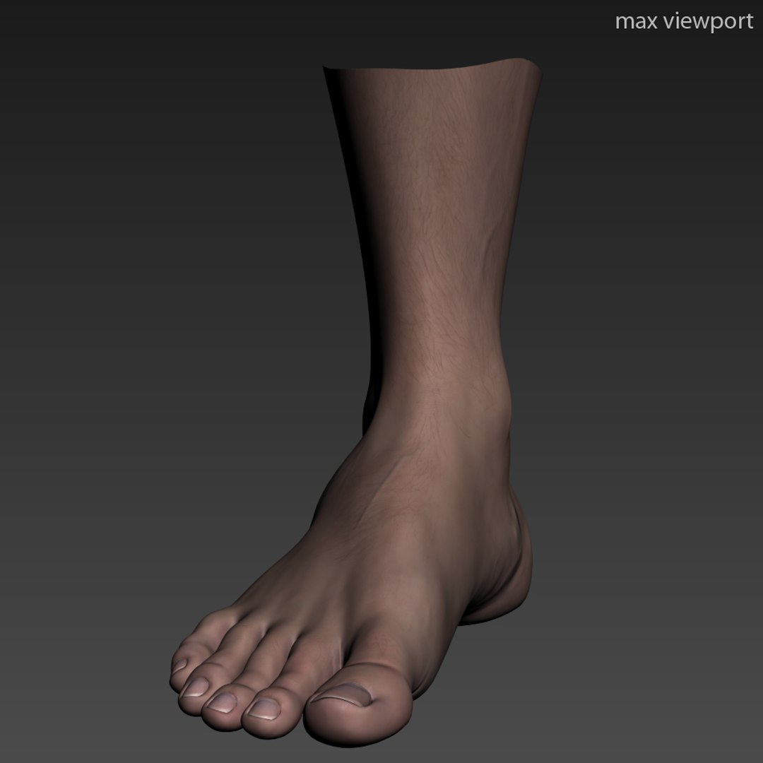 3d model realistic male foot https://p.turbosquid.com/ts-thumb/Yp/pPieF2/qi0qiW2Z/foot_viewport_02/jpg/1364144115/1920x1080/fit_q87/06385cb96b09be53a89502b8c4df440023bf3711/foot_viewport_02.jpg