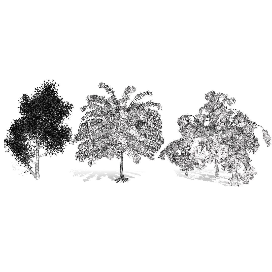 3D Cercis canadensis 3D Asset model https://p.turbosquid.com/ts-thumb/Yp/zdoESe/UI/wire/jpg/1724875038/1920x1080/fit_q87/1549f9ba150a99dd1342ed0d21f36dfa1b4fda79/wire.jpg