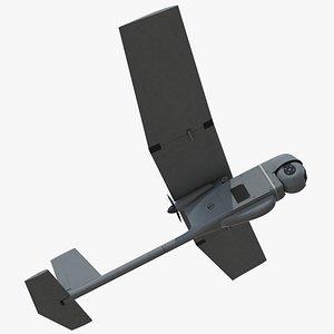 Small Hand Launched Remote Controlled UAV RQ-11B Raven