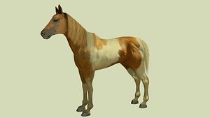 Horse