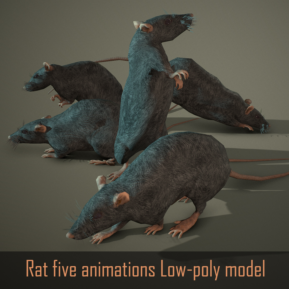 3D low-poly animations rat model - TurboSquid 1712116