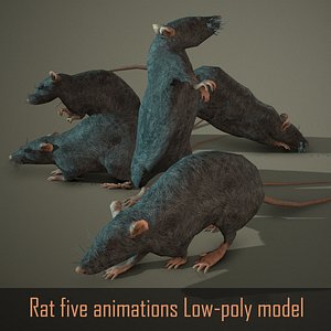 Rat five animations Low-poly 