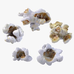 Realistic Popcorn Collection model