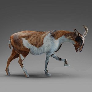 3D Goat 01 Rigged and Animation