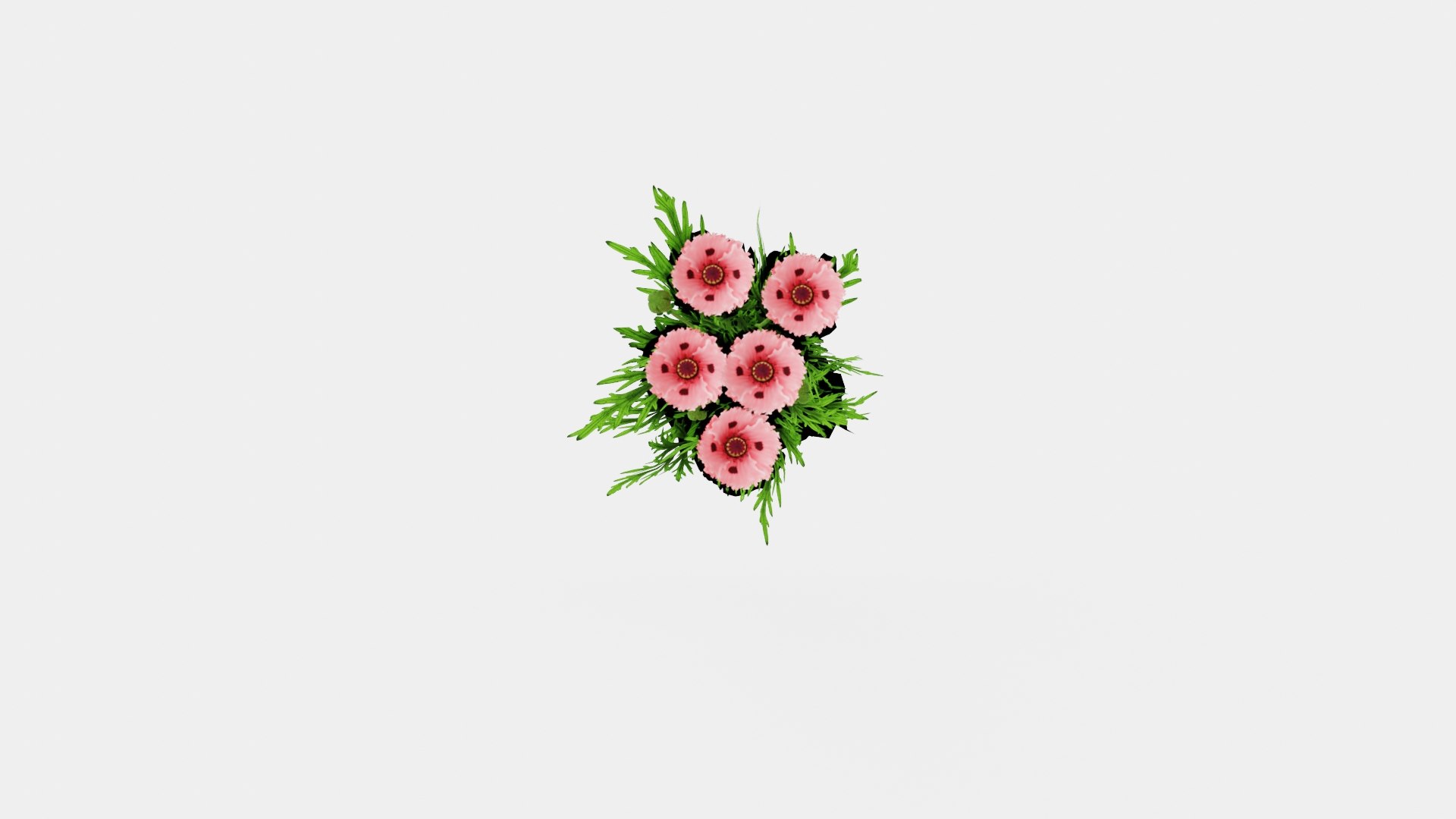 3D Papaver orientale Fornsott Summer Orientvalmue model https://p.turbosquid.com/ts-thumb/Yr/0tD4cu/ad/preview__top/jpg/1719816275/1920x1080/fit_q87/65465223a0e51a79d115db3f4d8d15e411011348/preview__top.jpg