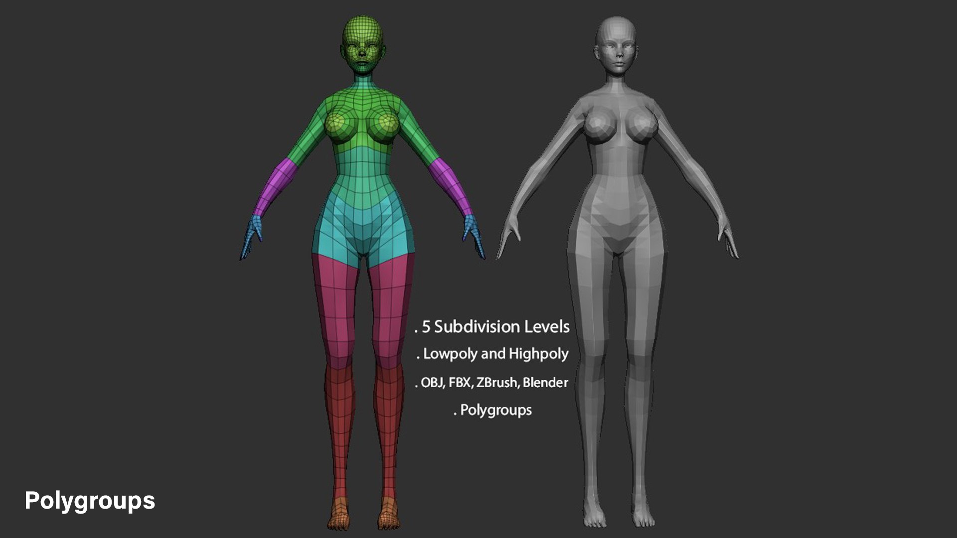 Stylized Female Base Mesh 3D https://p.turbosquid.com/ts-thumb/Yr/GFcS3M/rC/sfb_polygroup/jpg/1668774329/1920x1080/fit_q87/c788c9fcc92e2e5edc32ab0520ca74edd55092ef/sfb_polygroup.jpg