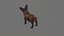 Cane francese