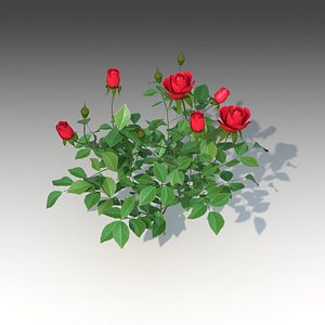 Flower Rose Set_002