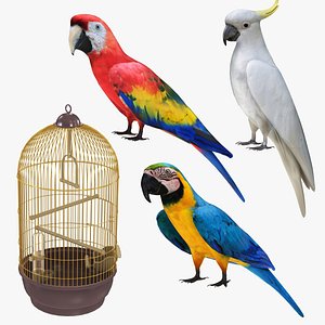 3D model Parrot and Cage Collection