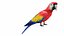 Parrot and Cage Collection