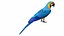 Parrot and Cage Collection
