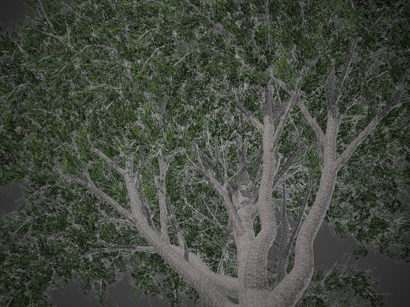 2021 PBR Coast Live Oak Collection - Quercus Agrifolia 3D model https://p.turbosquid.com/ts-thumb/Yr/ayNd7c/rM/screenshot035/jpg/1634922381/1920x1080/fit_q87/6889d4d351e10539f3a96c4d398e33d7fbbe3435/screenshot035.jpg